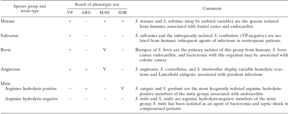 TABLE 1. Some characteristics of the viridans streptococcal species groupsa