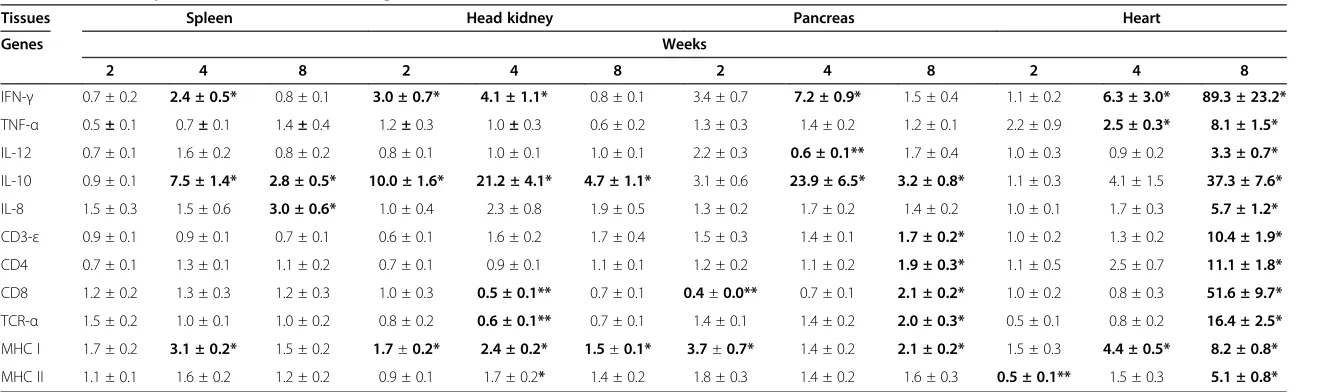 Table 2 Relative expression of immune related genes in different tissues of Atlantic salmon after SAV-3 infection
