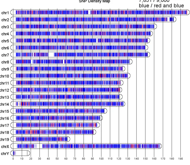Figure 4.2: Distribution of the original 9,000 SNPs on MUGA in terms of location on chromo- chromo-somes