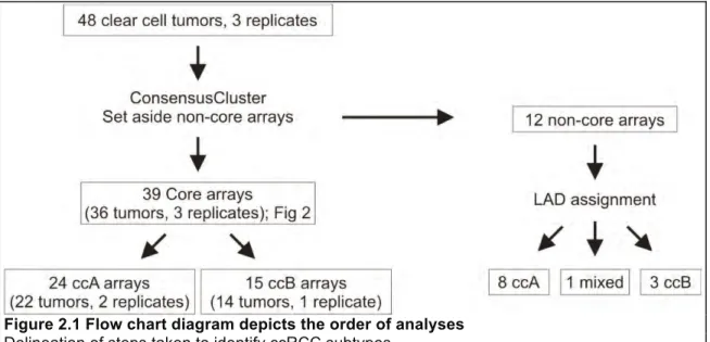 Figure 2.1 Flow chart diagram depicts the order of analyses  Delineation of steps taken to identify ccRCC subtypes
