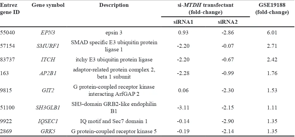 Table 3C: Downregulated genes by si-MTDH in “Endcytosis pathway”