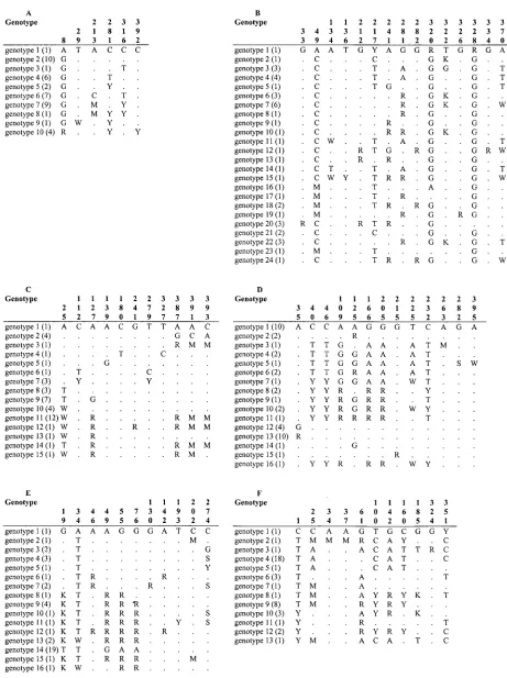 FIG. 1. Positions of the polymorphic nucleotide sites and genotypes identiﬁed at loci CaACC1CaRPN2For the other genotypes, only sites that differ from those in genotype 1 are shown; sites that are the same as those in genotype 1 are shown by dots.The numbe