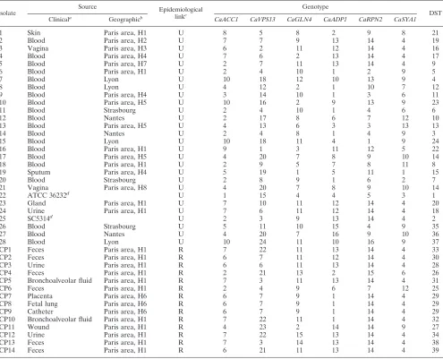 TABLE 4. Characteristics and genotypes of the 42 C. albicans isolates tested