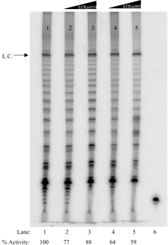Figure 2.4  Concentration dependence of telomerase inhibition by hTRas009 and hTRas010  when added after assemblage