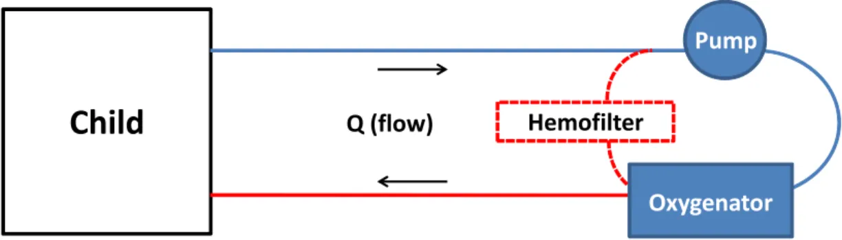 Figure 1.1. ECMO Circuit Schematic. An ECMO circuit has at least three components: tubing,  pump, and oxygenator