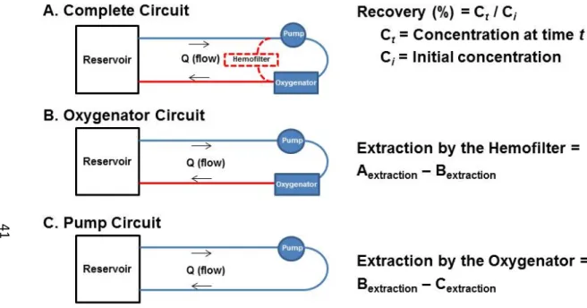 Figure 2.2. ECMO circuit configurations. A. Complete Circuit; B. Oxygenator Circuit; C
