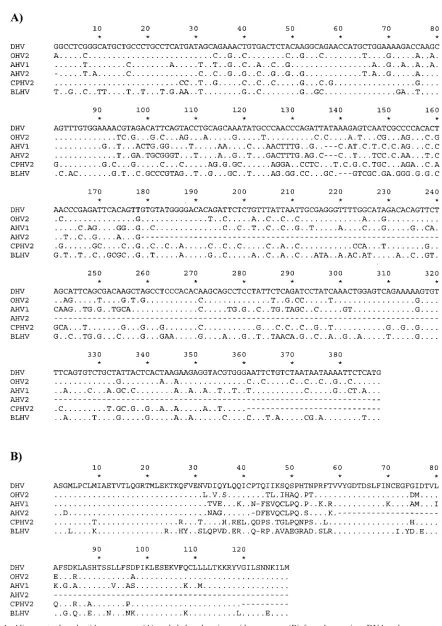 FIG. 1. Alignment of nucleotide sequences (A) and deduced amino acid sequences (B) from herpesvirus DNA polymerase genes
