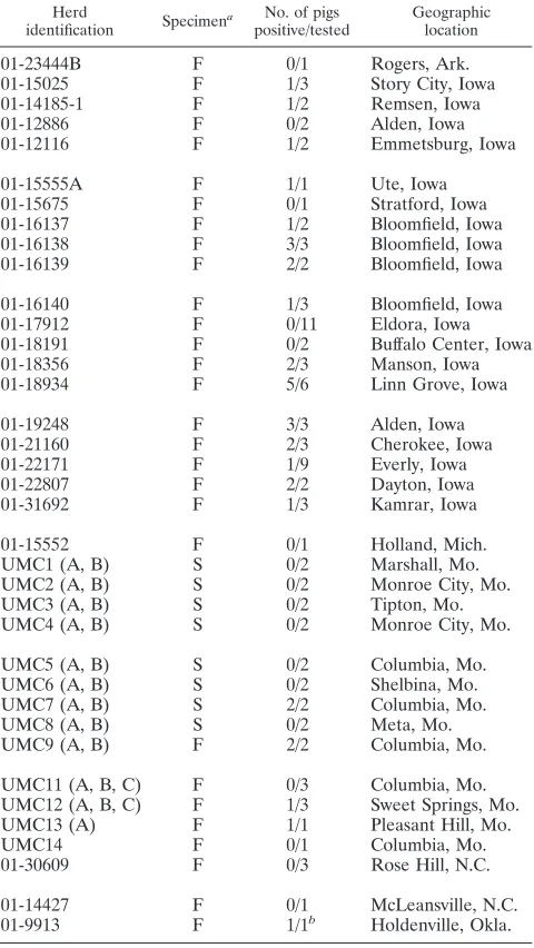 TABLE 1. Detection of swine HEV RNA from fecal and serumsamples of pigs of 2 to 4 months of age from differentherds in the United States