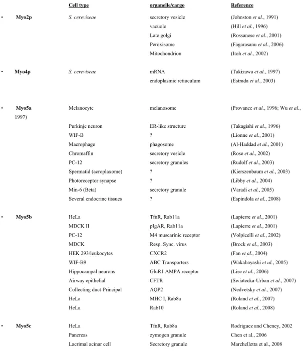 Table 1-1: Class V myosins associate with several organelles 