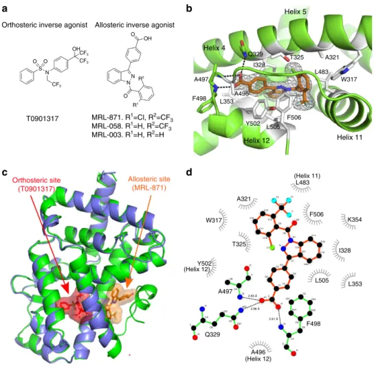 Figure 1 | Co-crystal structure of RORct with MRL-871. (a) Chemical structures of a representative orthosteric ligand T0901317 (ref