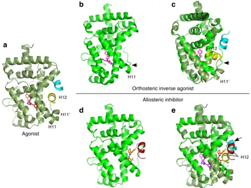 Figure 4 | Molecular mechanism of allosteric RORct modulation. (a) Agonistic conformation of RORgt 31 (PDB entry 4NIE) showing the position of the agonistic ligand (red) in the classical orthosteric ligand binding site