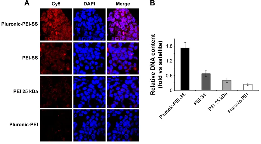 Figure 8 The percentage of egFP-expressing hela (A) and 293T (B) cells for Pluronic-PEI-SS determined by flow cytometry, using Pluronic-PEI, PEI-SS, and 25 kDa PEI as controls.Note: Data are presented as mean ± sD (n=3).Abbreviations: EGFP, enhanced green fluorescent protein; PEI, polyethyleneimine; PEI-SS, disulfide-linked PEI; SD, standard deviation; N/P, nitrogen to phosphate.