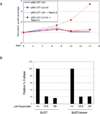 Figure S4. (A) YFP-competition assay in BJ-ET cells as in Figure 3B with a p21 kd  shRNA expressing  vector or empty control vector