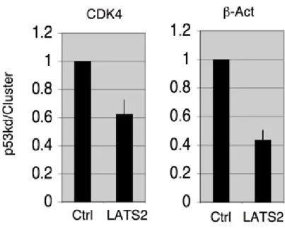 Figure S9. RNA extracted from the same cell populations as in Figure 5A, was used for Q-RT-PCR