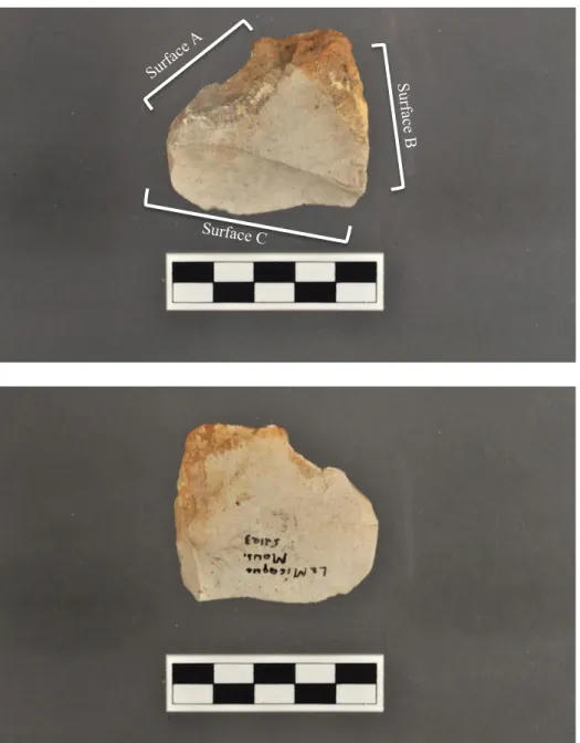 Figure 5.  Trifacial scraper, sides 1 (top) and 2 (bottom), from La Micoque.  The  three worked faces are annotated on side 1