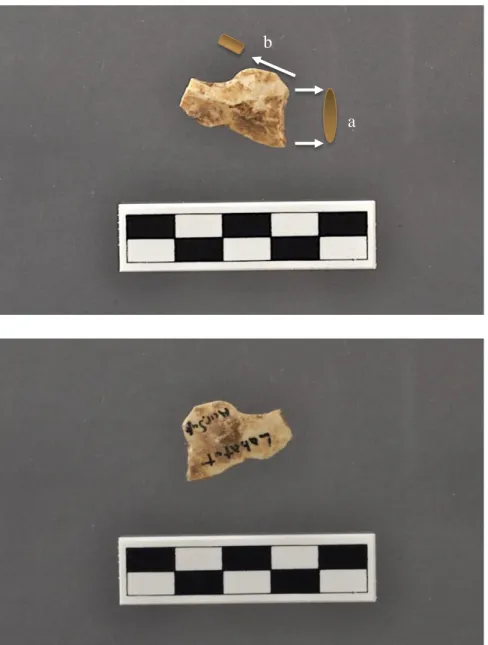 Figure 9.  Noailles burin from Abri Labatut, sides 1 (top) and 2 (bottom). 