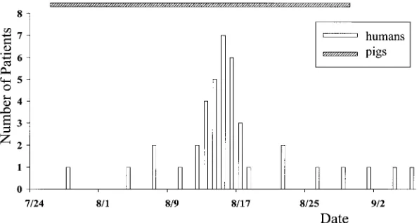 FIG. 1. Temporal distribution of 40 cases. All patients had high fever, erythematous rash or petechiae, and profound lethargy