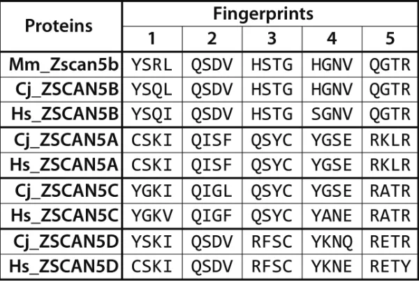 Figure 1: Diverged DNA-binding “fingerprint” patterns for primate-specific ZSCAN5 proteins