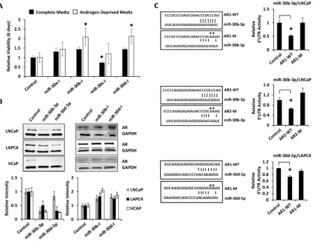 Figure 6: miR-30b-3p and miR-30d-5p directly regulate AR protein expression and PCa cell growth