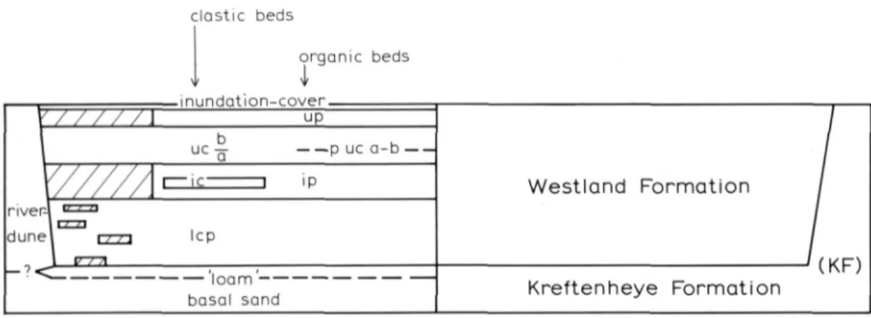 Fig. II. Scheme of the lithostratigraphy in the Leerdam study area. 