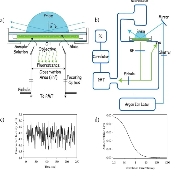 Figure 1.2 Total Internal Reflection with Fluorescence Correlation Spectroscopy. 