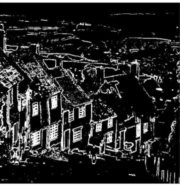 Fig. 7. Edge detection result by 3x3 crisscross SE     Rys.8. Edge detection result by composite 3x3 morphological SE  