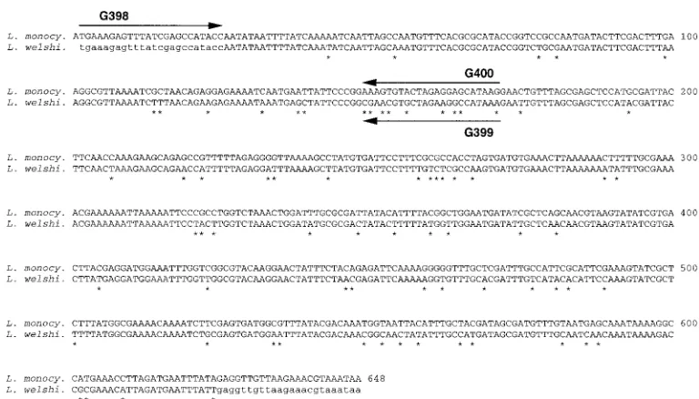 FIG. 1. Alignment of the nucleotide sequence of the fbpDNA fragment ofletters) are those of primers G296 and G297, used for the ampliﬁcation and cloning of the gene, but are not necessarily entirely those of thewelshimeriwelshimeri gene of Listeria monocyt