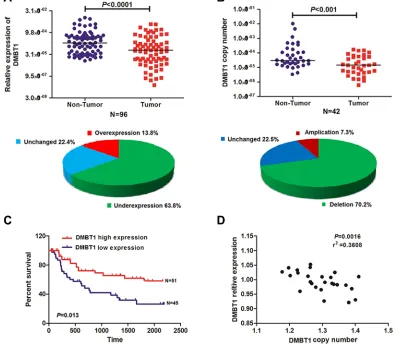 Figure 1: DMBT1 expression was frequently reduced in GBC as a result of DNA copy number variation