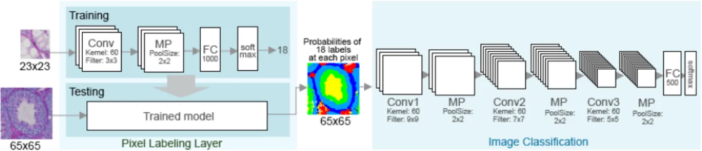 Figure 4.2: The classification task is divided into two subtasks, a per-pixel labeling and an image classification