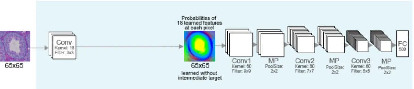 Figure 4.6: CNN without hints: the classification task is trained without intermediate target and directly backpropagate the parameters from top to bottom.