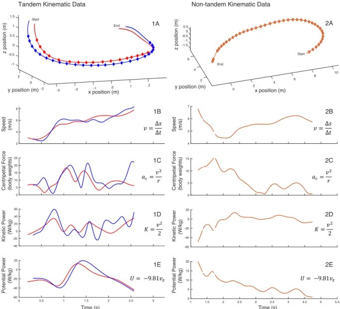 Figure 2: 3-D Position Data and Kinematic Properties of the Flight Sequence of Tandem and Non-Tandem  Cliff Swallows