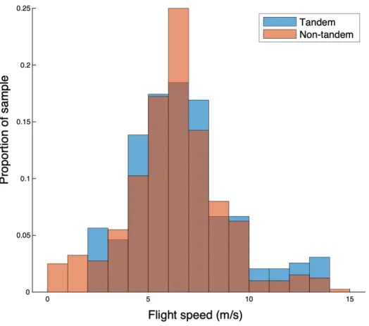 Figure 4: Histogram of flight speed distribution for the non-tandem (orange) and tandem (blue) Cliff Swallow  data sets