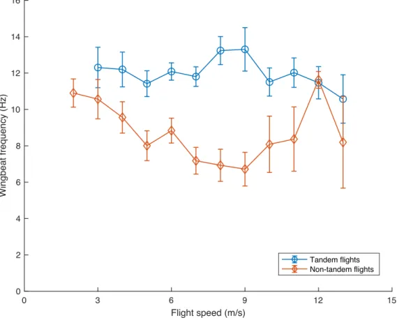 Figure 5: Wingbeat frequency versus flight speed relationship of Cliff Swallows in tandem and non-tandem  flights