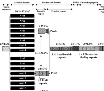 FIG. 3. Alignment of amino acid sequences corresponding to the proline-rich domain of SfbI