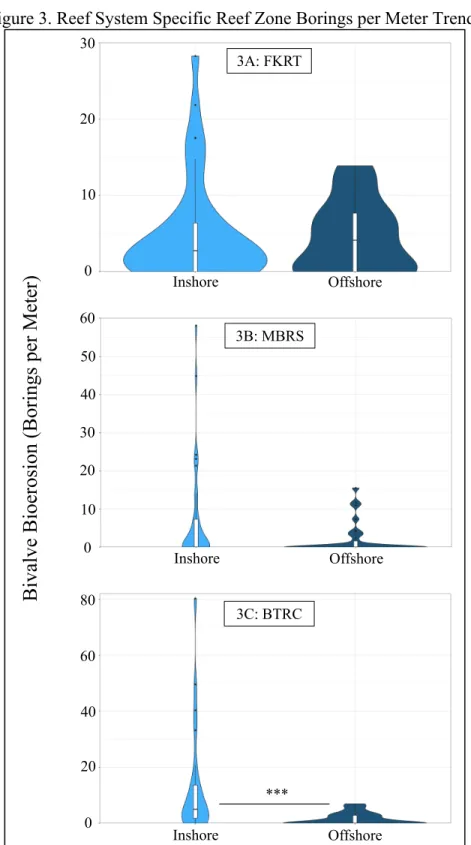 Figure 3. Reef System Specific Reef Zone Borings per Meter Trends 
