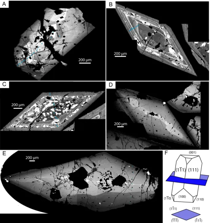 Figure 2. Representative backscattered electron images of titanite crystals, cut through the center, parallel  to {111}, from the Half Dome Granodiorite