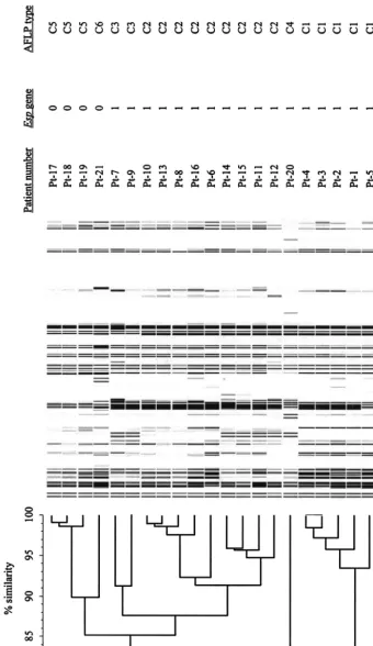 FIG. 1. Dendrogram of the genetic similarity of all isolates by AFLP analysis. AFLP types are based on 90% genetic similarity
