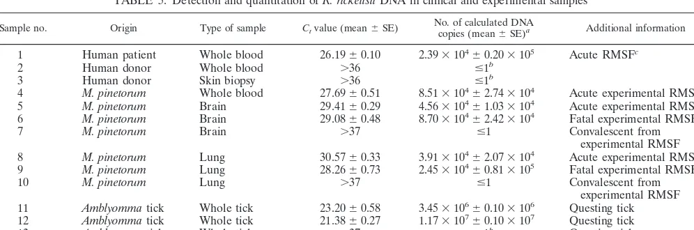 FIG. 3. Detection of R. rickettsiiVero cell monolayers were infected with 2.0 rickettsial PFU per cell(squares) or 0.2 rickettsial PFU per cell (diamonds)