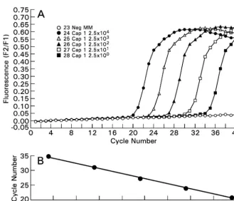 TABLE 1. Oligonucleotide sequences of primers and probes