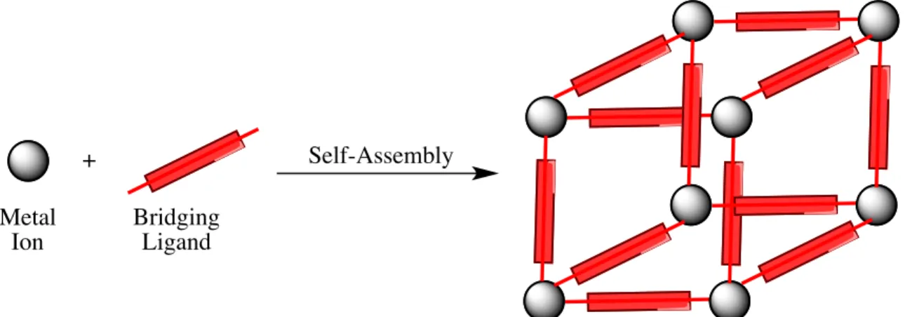 Figure 1.4. Self-assembly of metal ion and bridging ligand to form a metal-ligand network,  known as a coordination polymer