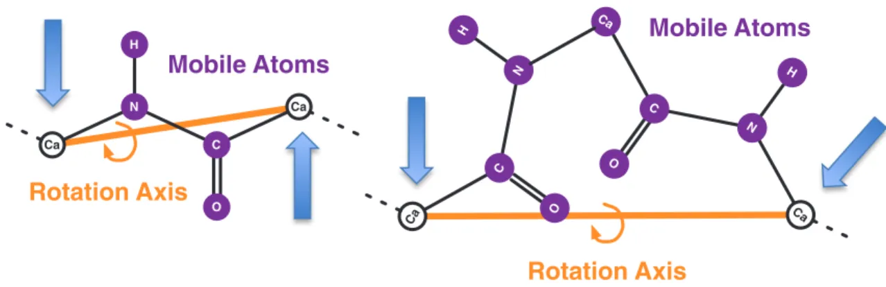 Figure  4.1.1  The  Backrub  Move  (Freidland  2008):  The  Backrub  Move  selects  pivot  atoms  (white  circles  labeled  Ca)  and  rotates  the  mobile  atoms  (purple  circles)  about  the  rotation  axis  (orange  line)
