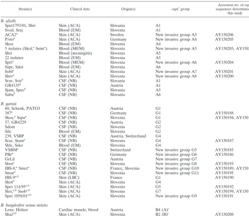 TABLE 2. Clinical strains isolated from secondary sites with unknown ospC sequences