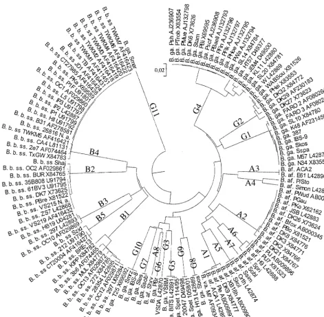 FIG. 2. UPGMA-based tree of invasive ospCthe 25 sequences from 100 isolates available in data banks (indicated by their accession numbers) and ospC sequences determined in this study
