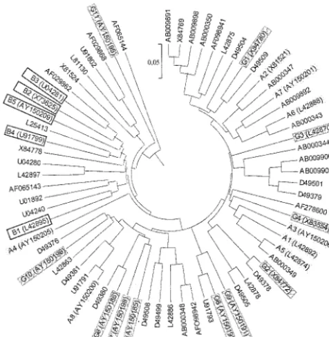FIG. 3. ospCsensu stricto invasive group, no hatching or shading;one representative sequence, indicated by accession numbers, fromeach of 69quences)