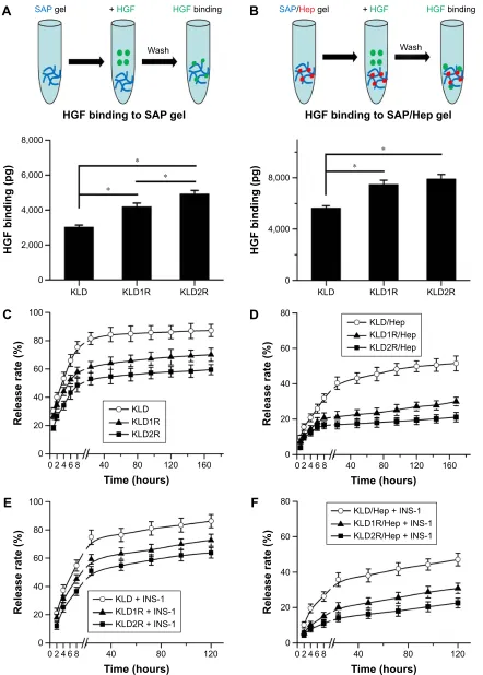 Figure 3 effect of cationic saP/hep gel on hgF binding and release.Notes: (A, B) Determination of hgF binding to saP and saP/hep gels by elIsa