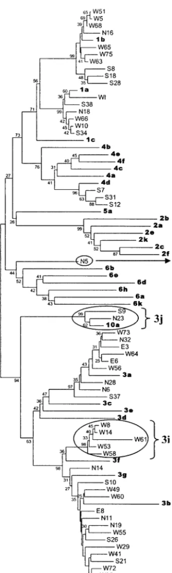 TABLE 1. Prevailing HCV genotypes in India based on 5�NCRsequence analysis