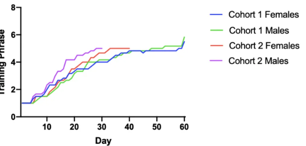 Figure 5. Comparison of average progression between groups through training phases. On average, cohort 2  progressed faster than Cohort 1 to training phase 5
