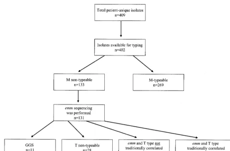 FIG. 1. Number and distribution of GAS isolates in the study. “Traditionally” refers to M or emm types that correlate with the MOHscheme.