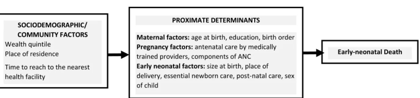 Figure 2: Conceptual framework of early neonatal mortality 