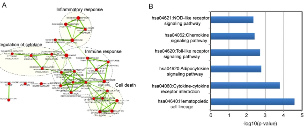 Figure 4: Function enrichment maps of the diagnostic lncRNAs. A. The functional enrichment map of GO terms with each node represents a GO term and an edge represents the proportion of shared genes between connecting GO terms